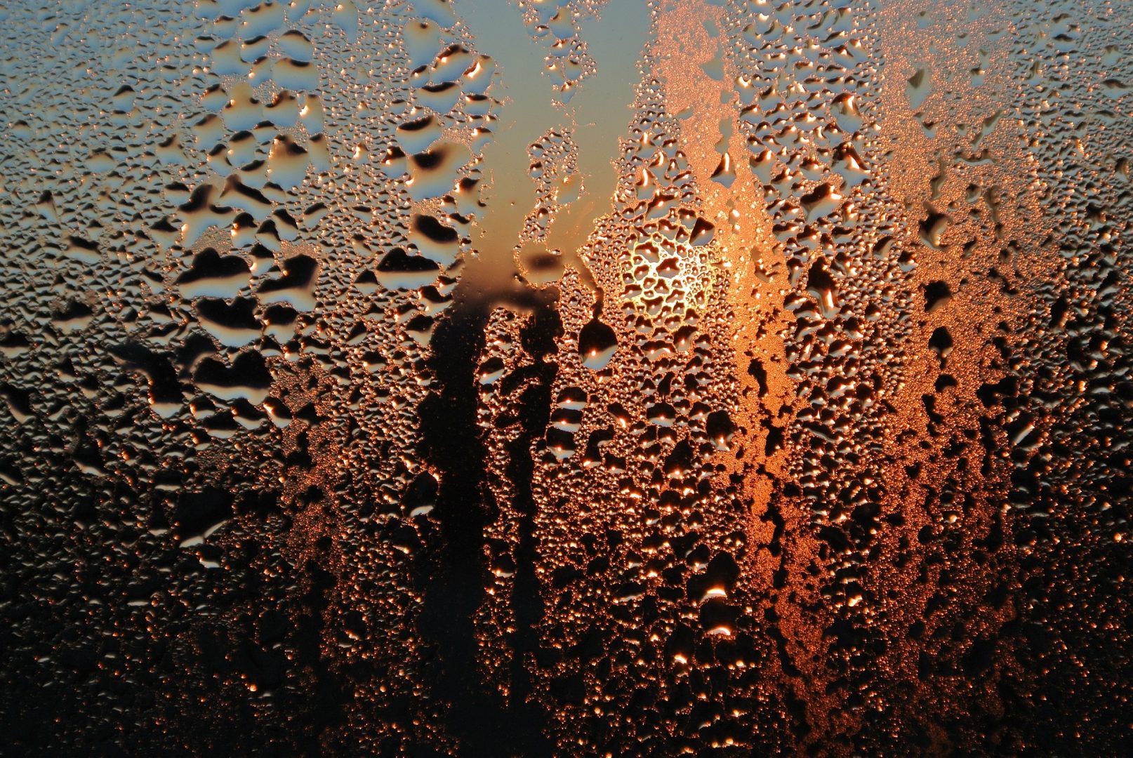 Condensation on window with water droplets running down
